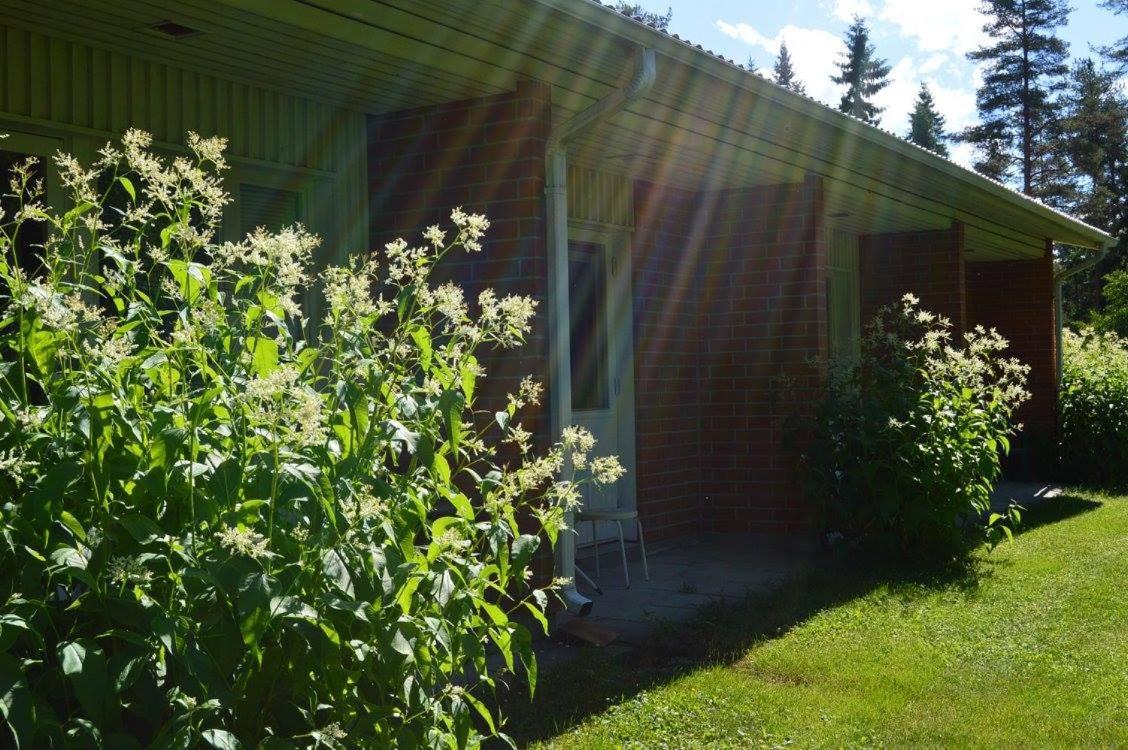 Hotelli Ravintola Tiilikka Rautavaara Exterior photo